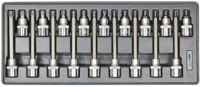 Набір головок зі вставкою Torx 1/2" Т20-Т60 18од ложемент