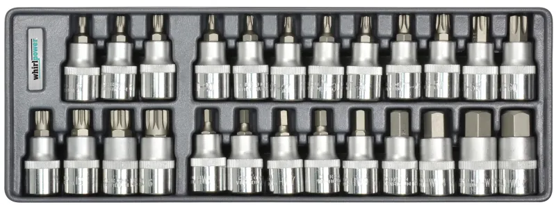 Набір головок зі вставкою Hex, Torx, Spline 1/2" 25од ложемент