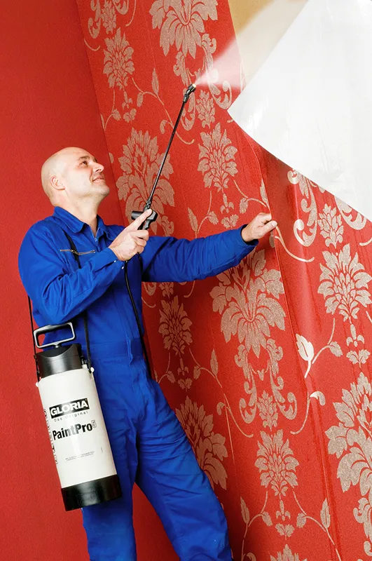 Обприскувач ручний 5л PaintPro5 маслостійкий, тиск-3бар, прокладка Viton — Photo 1