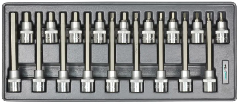Набір головок зі вставкою Hex 1/2" Н5-Н19 18од ложемент